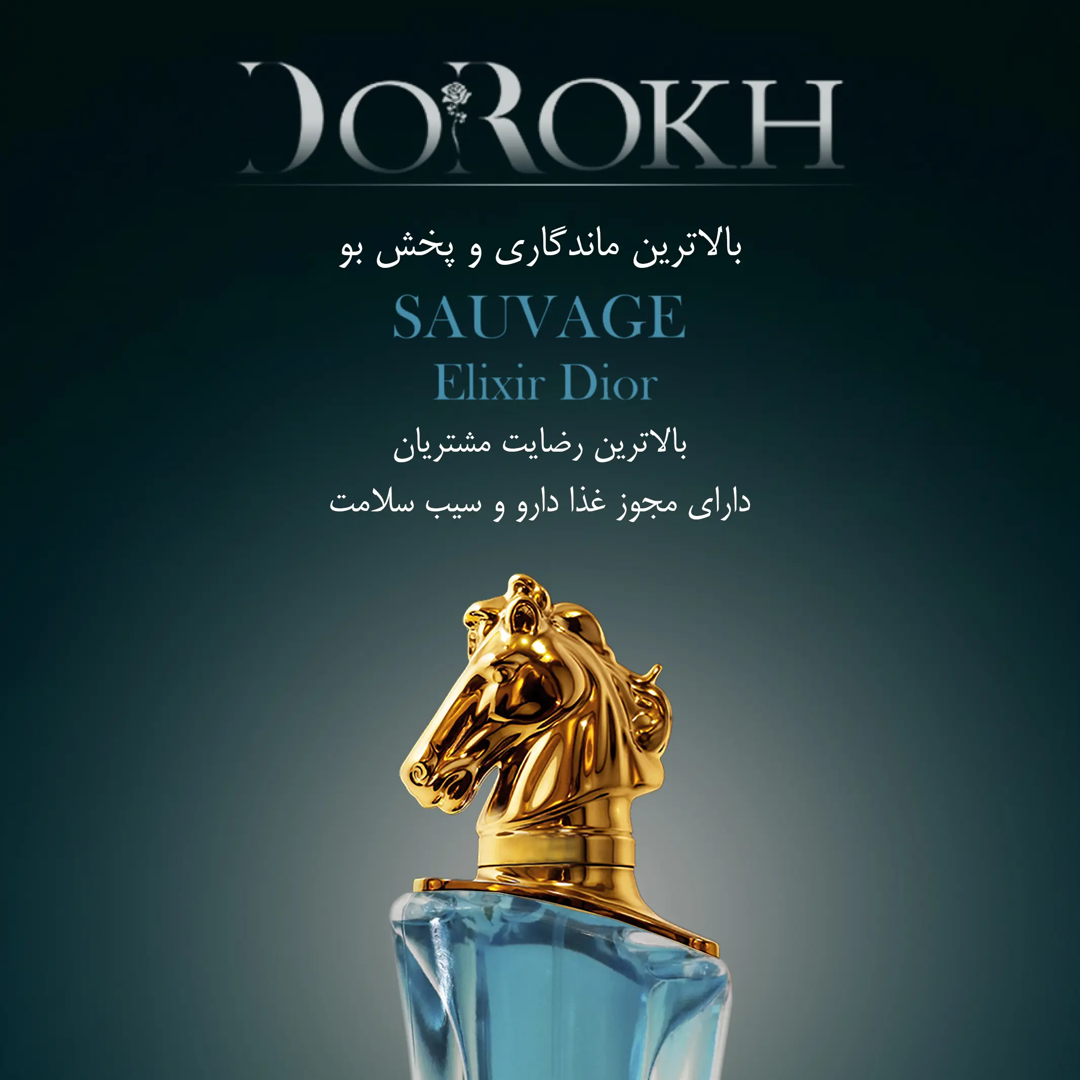 عطر ادوپرفیوم رایحه ساواج الکسیر — EAU DE PARFUM SAUVAGE ELIXIR - Image 5